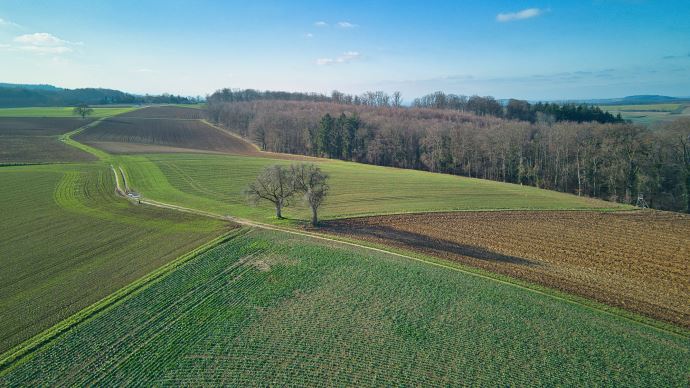 fiches_terres_agricoles_AdobeStock