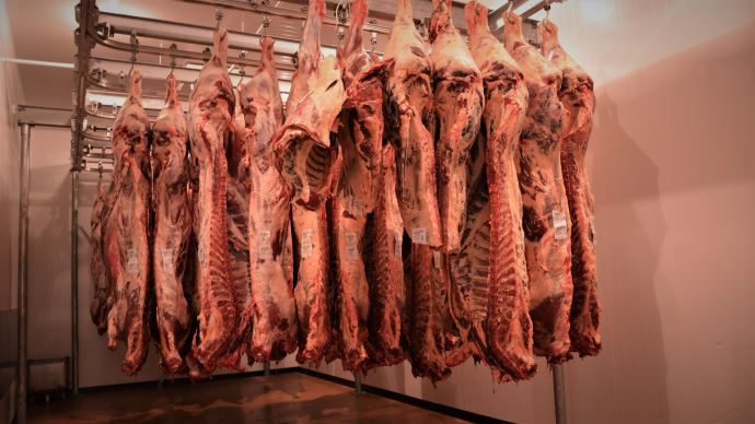 fiches_Carcasse_viande_bovine_24170-1