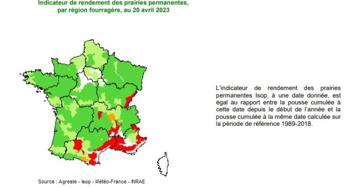 fiches_Pousse_herbe_20avril