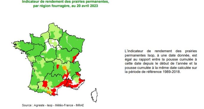 fiches_Pousse_herbe_20avril