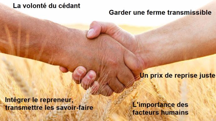 fiches_les-cinq-piliers-d-une-transmission-agricole-reussie