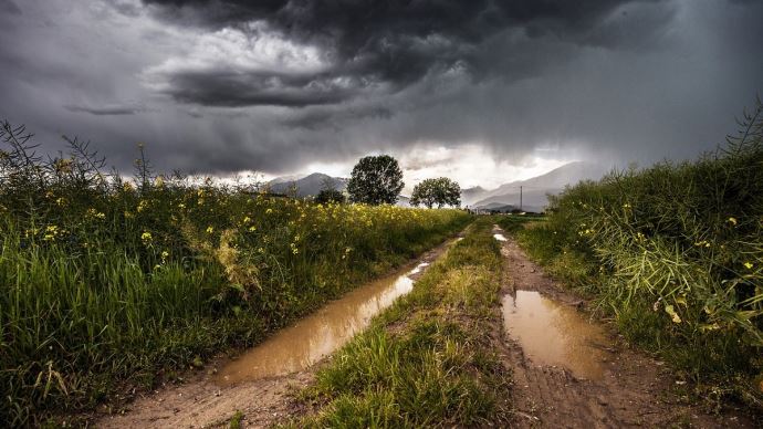 fiches_pluie-printemps