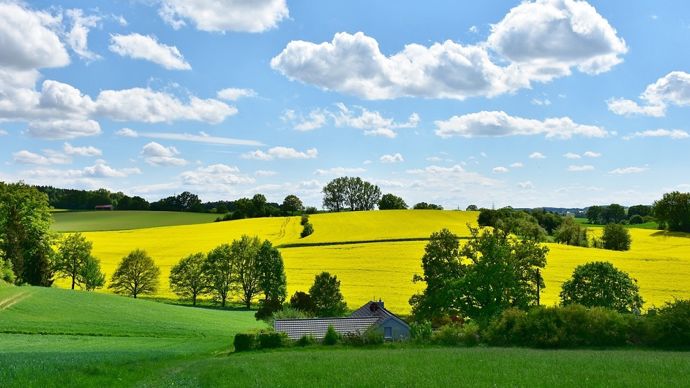Paysage