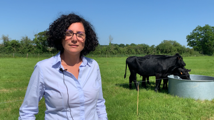 fiches_Herbopacte_Interview