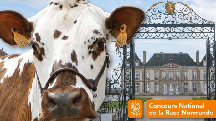 fiches_concours-normande