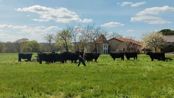 fiches_reprise-d-elevage-allaitant-en-dordogne