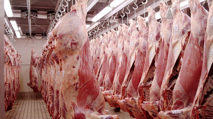 Abattoirbovincarcasses
