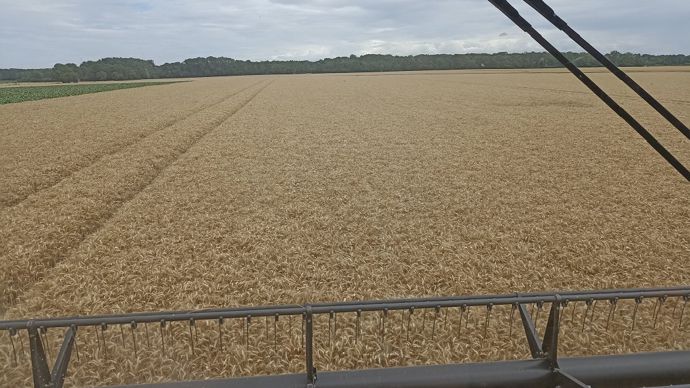 Moisson-1