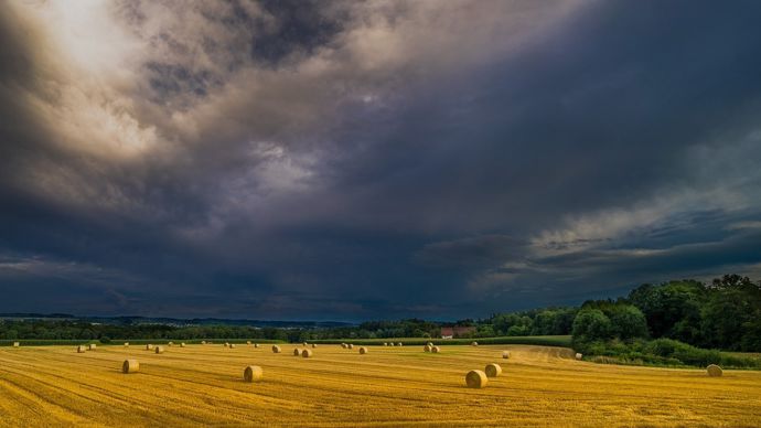 pluie-champ