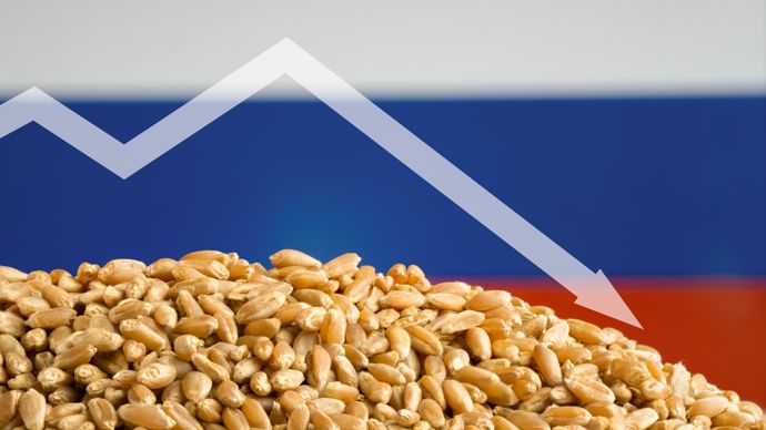 36390ab0-3-reflux-du-prix-du-ble-l-offre-russe-domine-les-echanges