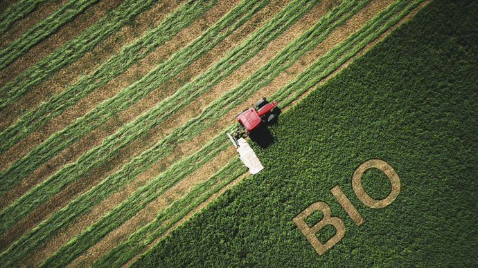 Champ-agriculture-bio