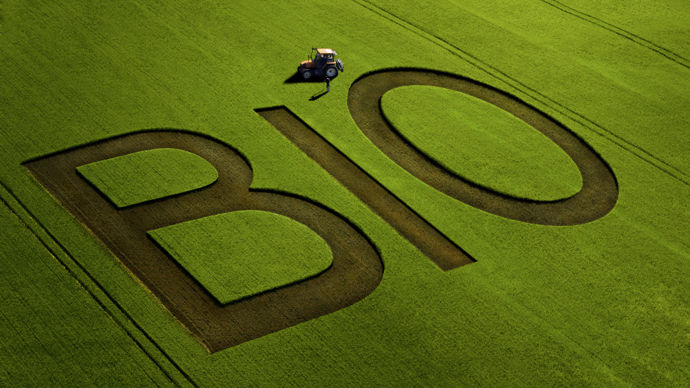 Illustration-champ-agriculture-bio