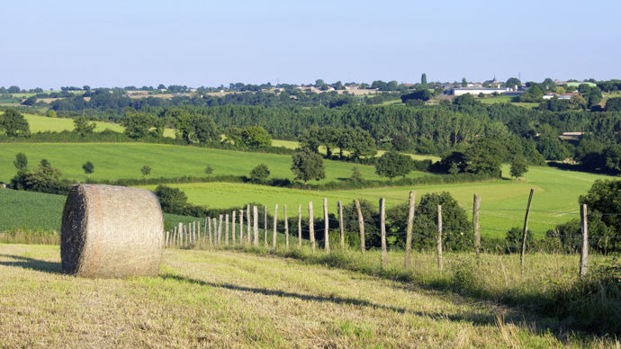 Paysage-agricole-1