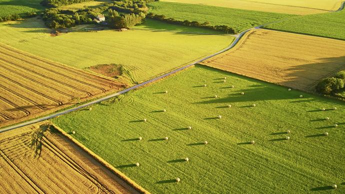 Paysage-agricole