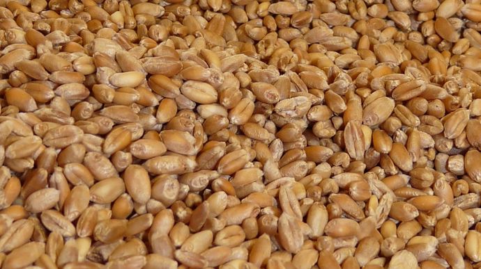 fe3e47af-4-vers-un-recul-des-productions-mondiales-de-ble-de-mais-et-de-soja-usda