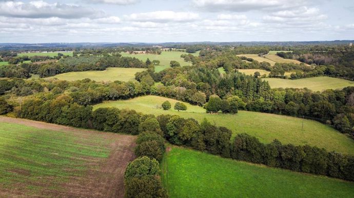 4ce81627-8-avec-son-pacte-dedie-la-france-veut-replanter-50-000-km-de-haies-d-ici-2030