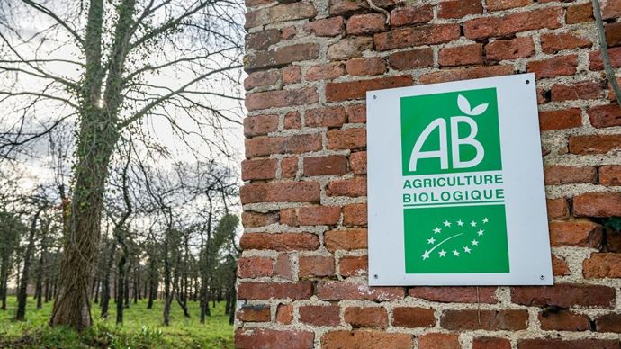 6e517a1c-6-pour-relancer-le-bio-les-agriculteurs-en-appellent-aux-consommateurs
