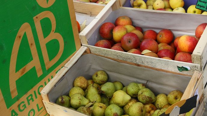 708236e3-7-coup-de-pouce-du-gouvernement-a-la-promotion-du-bio