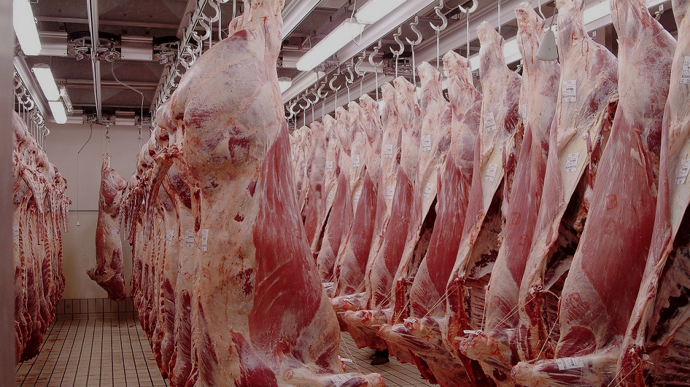 Abattoirbovincarcasses2
