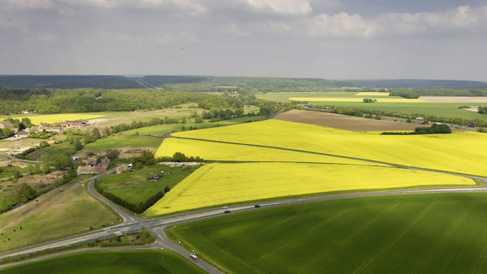Champ-colza-Ile-de-France