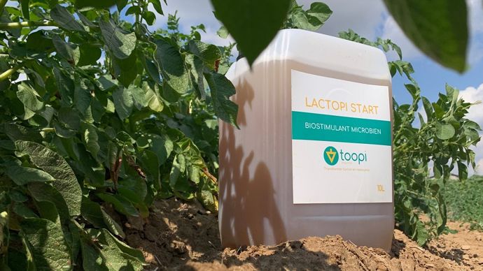 LactopiStart-scaled-1