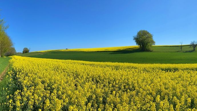 Paysage