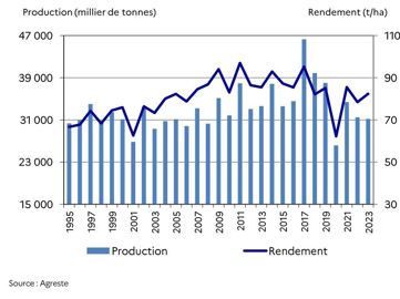 Rendementetproductiondelabetteraveindustrielle-480x270-1