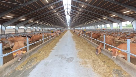 stabulation-lonholm-agro-480x270-1