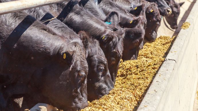 5d7b0bb9-2-les-prix-de-la-viande-rouge-s-envolent-aux-etats-unis