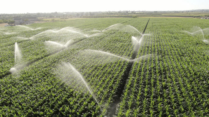 Irrigation-champ-mais