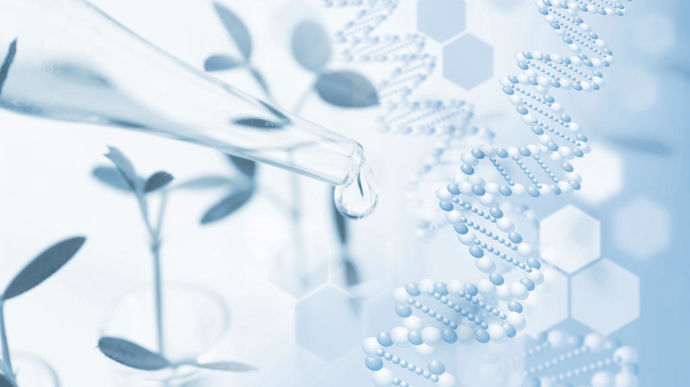 Recherche-varietale-en-laboratoire