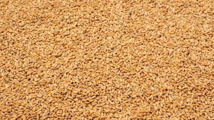 af330c7a-8-orientation-a-la-baisse-des-cereales-la-geopolitique-pese-peu