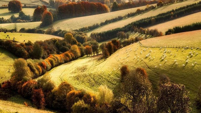 paysage-automne