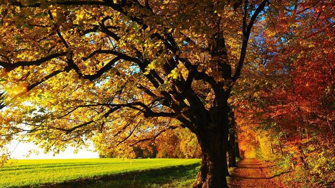 temps-automne