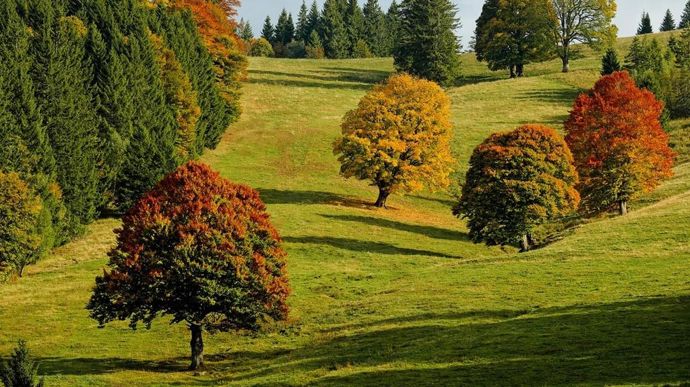 automne2