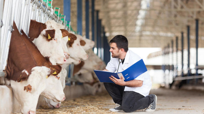 autopsievacheveterinaire