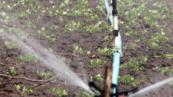 irrigation_FernandoAugusto_Pixabay