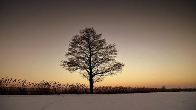 neige