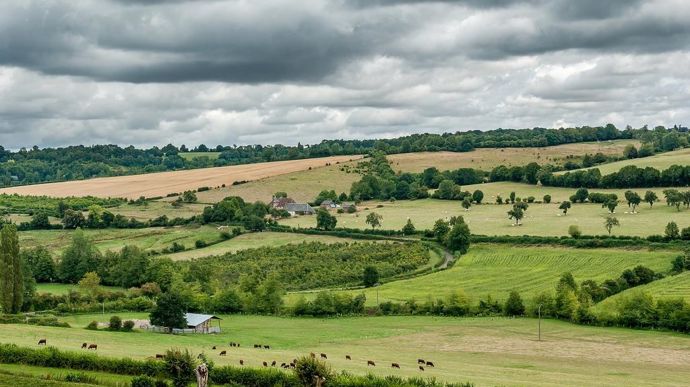 paysage