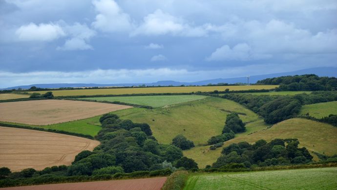 0486c1fb-d-le-gouvernement-britannique-annonce-sa-politique-agricole-post-brexit