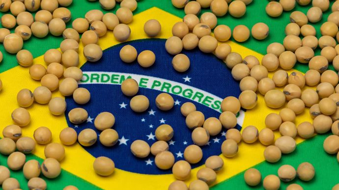 2899d98e-9-sur-les-marches-le-soja-americain-plonge-le-ble-europeen-hesite