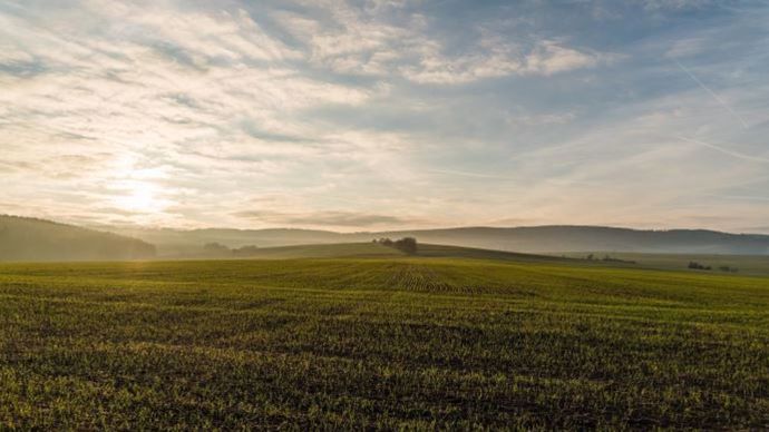 6e33ccd7-b-le-projet-de-loi-sur-l-agriculture-reporte-de-quelques-semaines