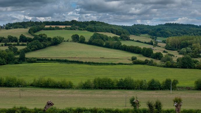 55ff65d9-3-les-prairies-permanentes-un-casse-tete-en-bretagne-pour-les-agriculteurs