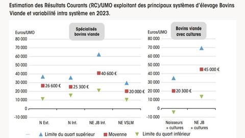 EstimationrevenuEleveursbovinsviande-480x270-1