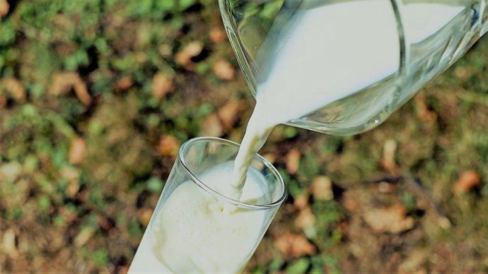 Lait