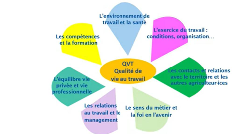 fleurdelaqualitedevieautravail-480x270-1