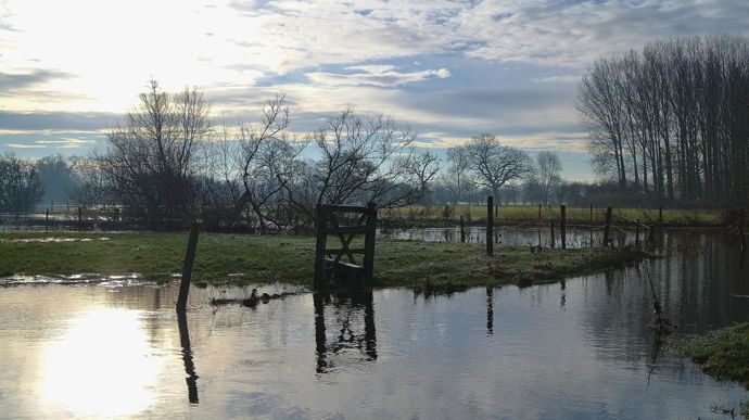 flooded-335650