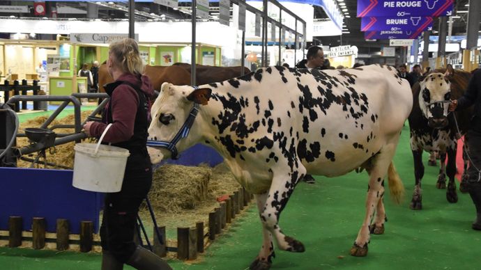 428ea3cf-b-derriere-un-salon-de-l-agriculture-calme-la-colere-n-est-pas-eteinte