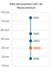 EstimationspremiersvolsdeMyzuspersicae-480x270-1