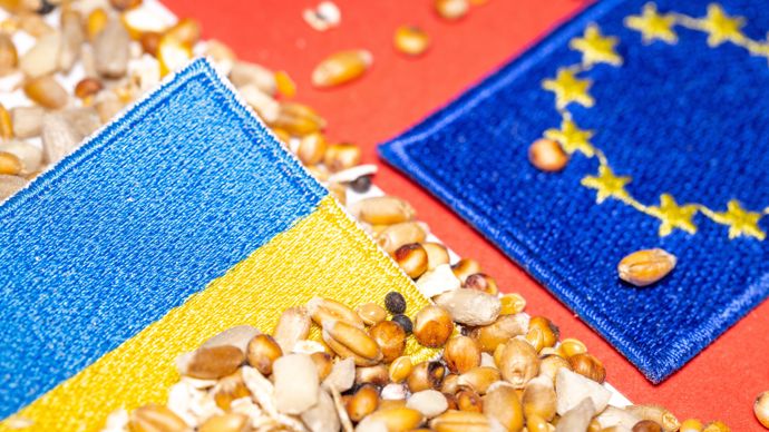a01e59da-3-etats-et-eurodeputes-negocient-pour-restreindre-l-afflux-de-cereales-d-ukraine